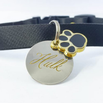 Coleira com nome gravado