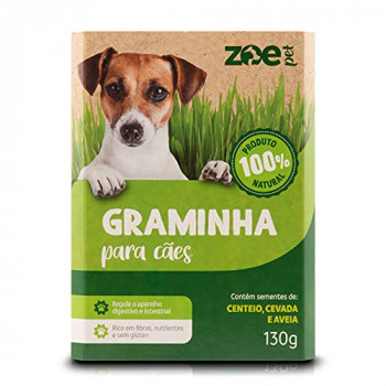 Graminha comestível para cães