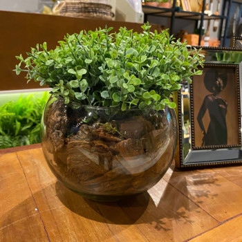 Flores ou plantas decorativas