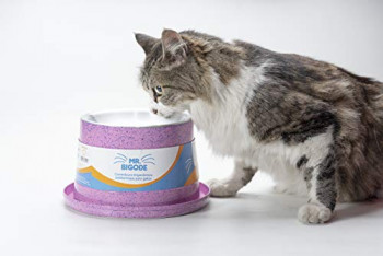 Comedouro antiformigas