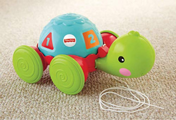 Carrinho de puxar e empurrar