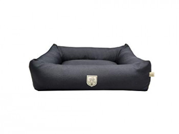 Caminha para pet