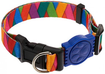 Coleira estilosa